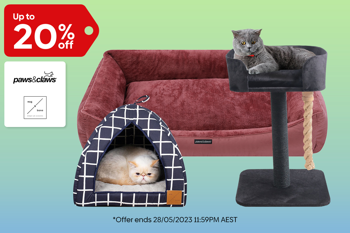 Pet Beds & Furniture