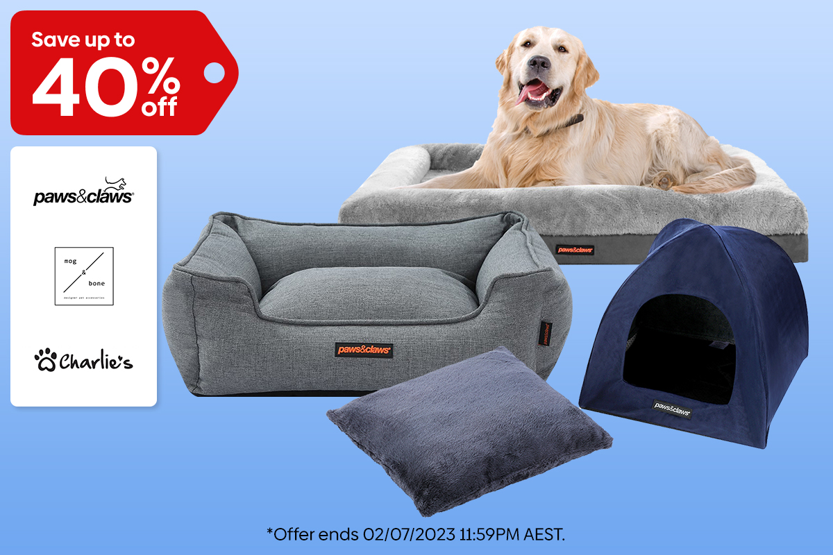 Pet Furniture & Bedding