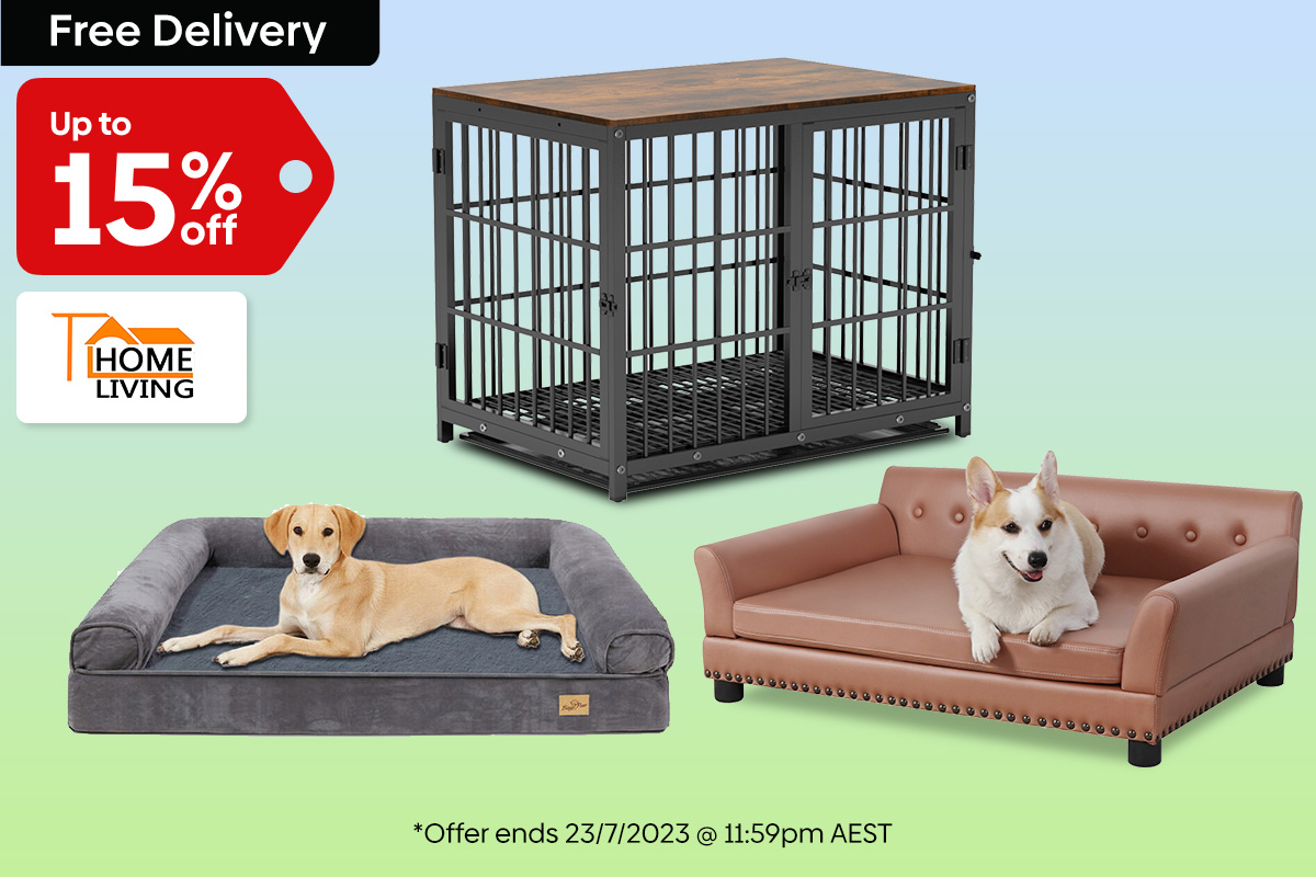 Pet Beds & Furniture