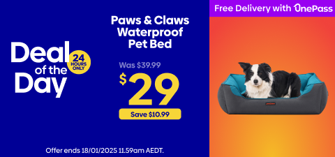 Paws & Claws Large Pet Bed