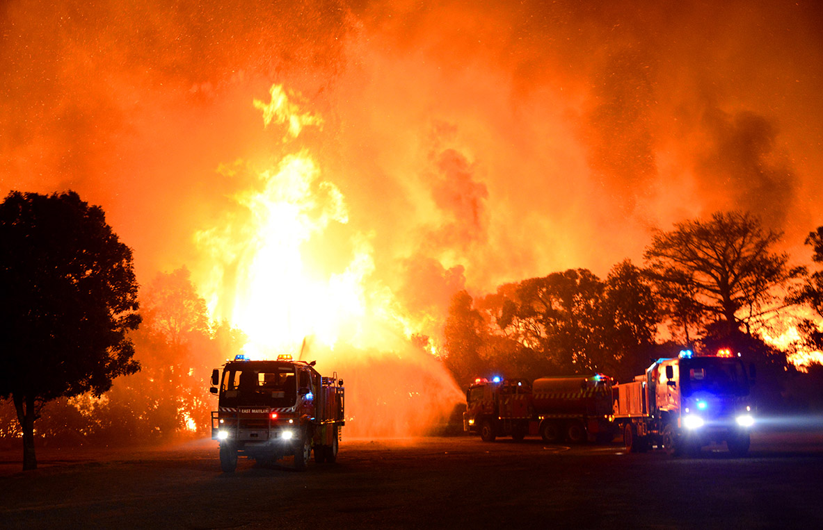 Catch Bushfire Appeal