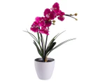LED Double Stem 50cm Orchid In Rounded Pot - Purple