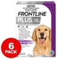 Frontline Plus Large Dogs 20-40kg 6pk 1