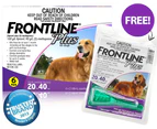 Frontline Plus Large Dogs 20-40kg 6pk + 1 FREE Dose