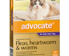 2 x 6pk Advocate Flea & Worm Treatment For Cats 4kg+