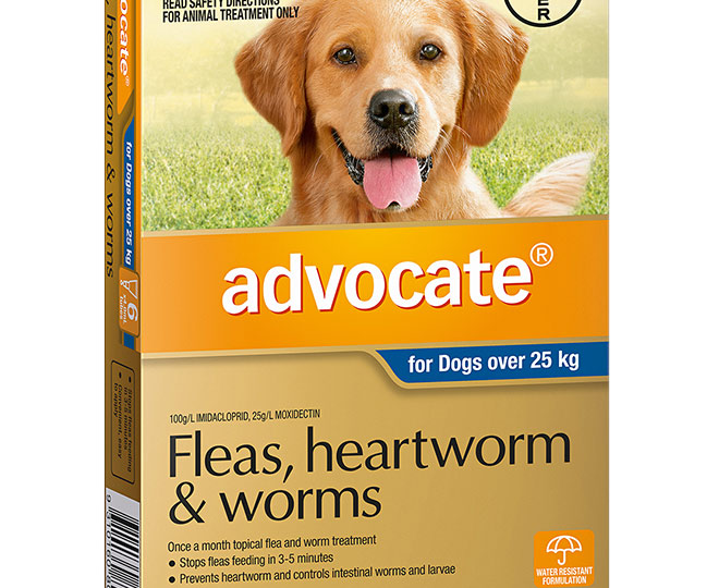 Advocate Flea & Worm Treatment For Dogs 25kg+ 6pk | GroceryRun.com.au