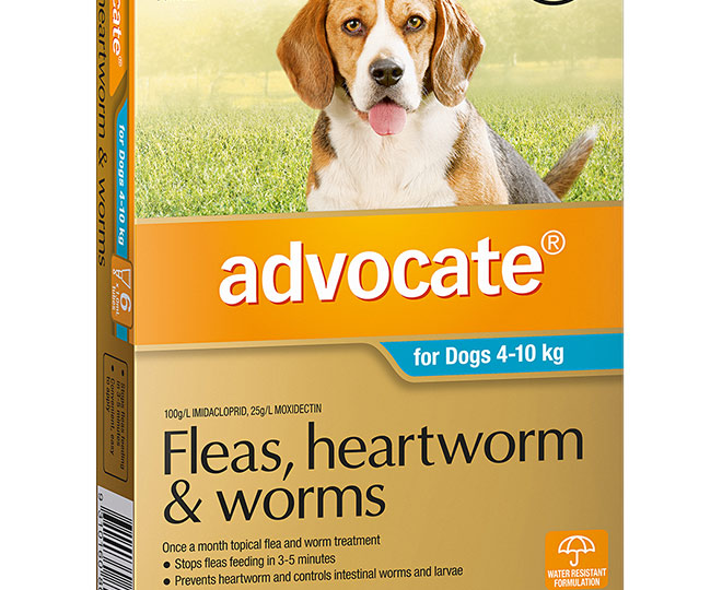 Advocate Flea & Worm Treatment For Dogs 4-10kg 6pk 9310160805898 | eBay