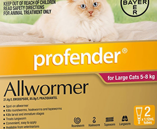 Profender clearance allwormer cats