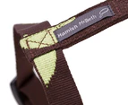 Hamish McBeth Harness & Leash Set Brown/Green Spot - Medium