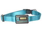 Anypet Digital Pet Accelerometer Collar Blue - Small