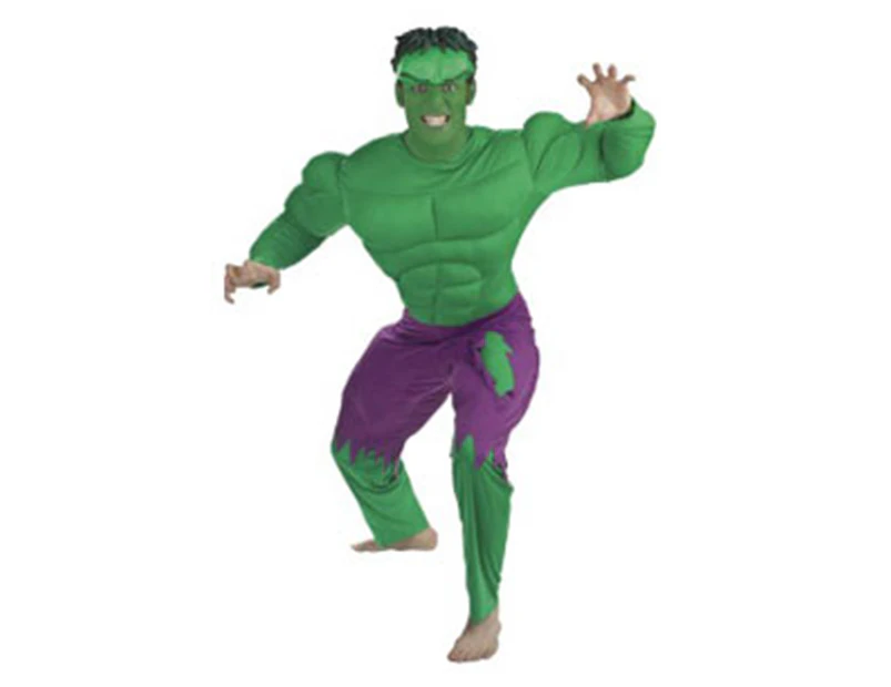 Marvel Universe The Hulk Adult Costume - Medium