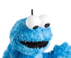 Sesame Street Cookie Monster 10" Plush Toy - Blue