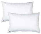 Gioia Casa Duck Feather Pillow 1kg Fill Twin Pack - White