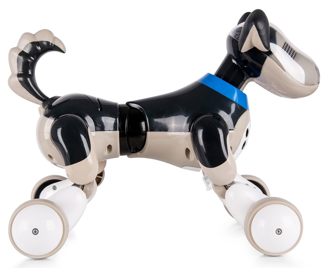 zoomer dog shadow