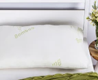 Ardor Memory Foam Queen Size Pillow w/ Bamboo Cover