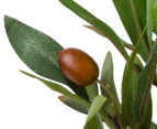 Potted Artificial Olive Tree - Green
