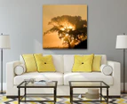 Sunrise Tree 75x75cm Canvas Wall Art
