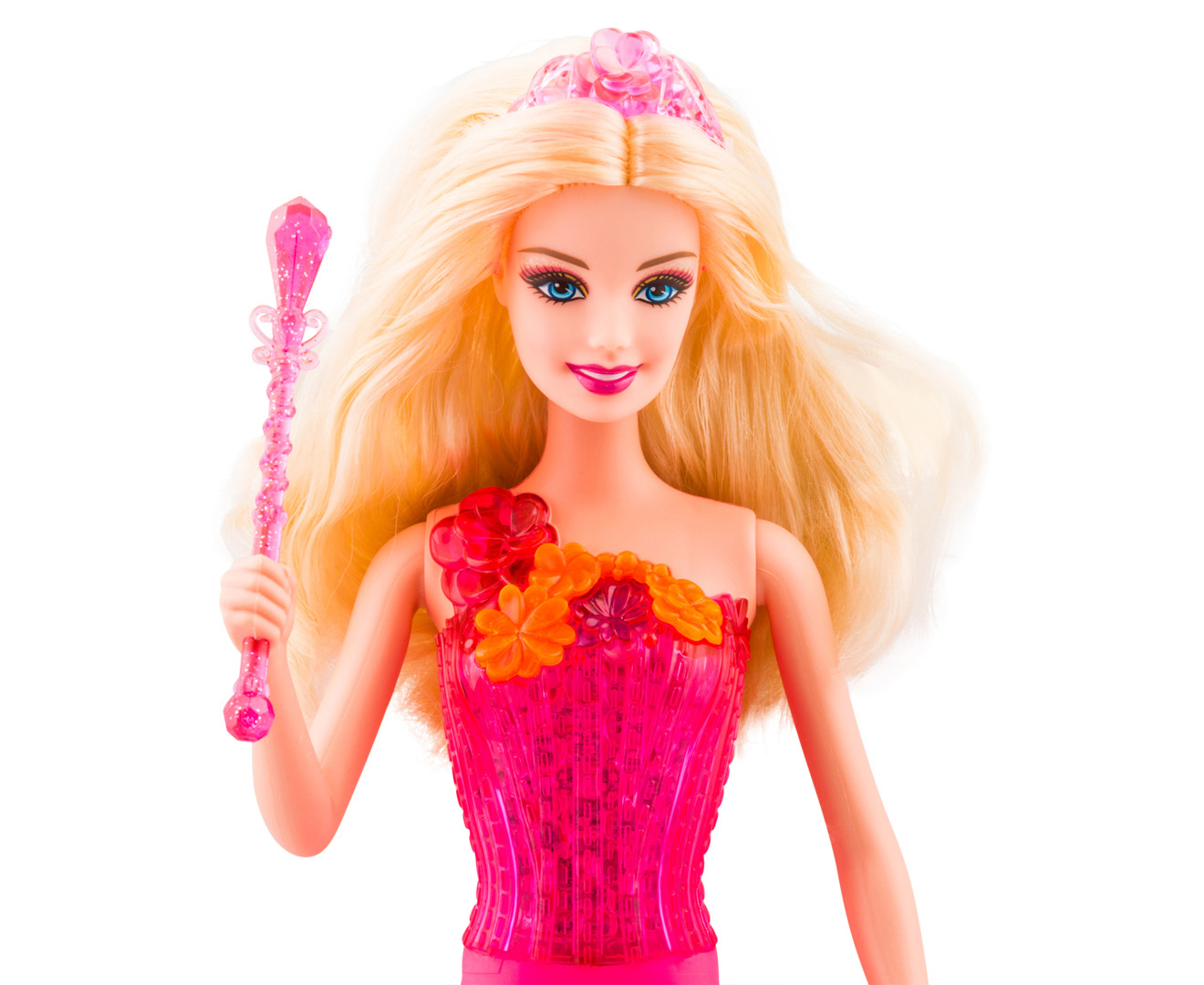 Barbie The Secret Door Singing Doll Catch Com Au