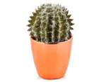 Cooper & Co. 22.5cm Small Artificial Cactus w/ Copper Pot 4Pc Set