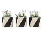 Contemporary Set Of 3 14cm Hexagon Planters - Black