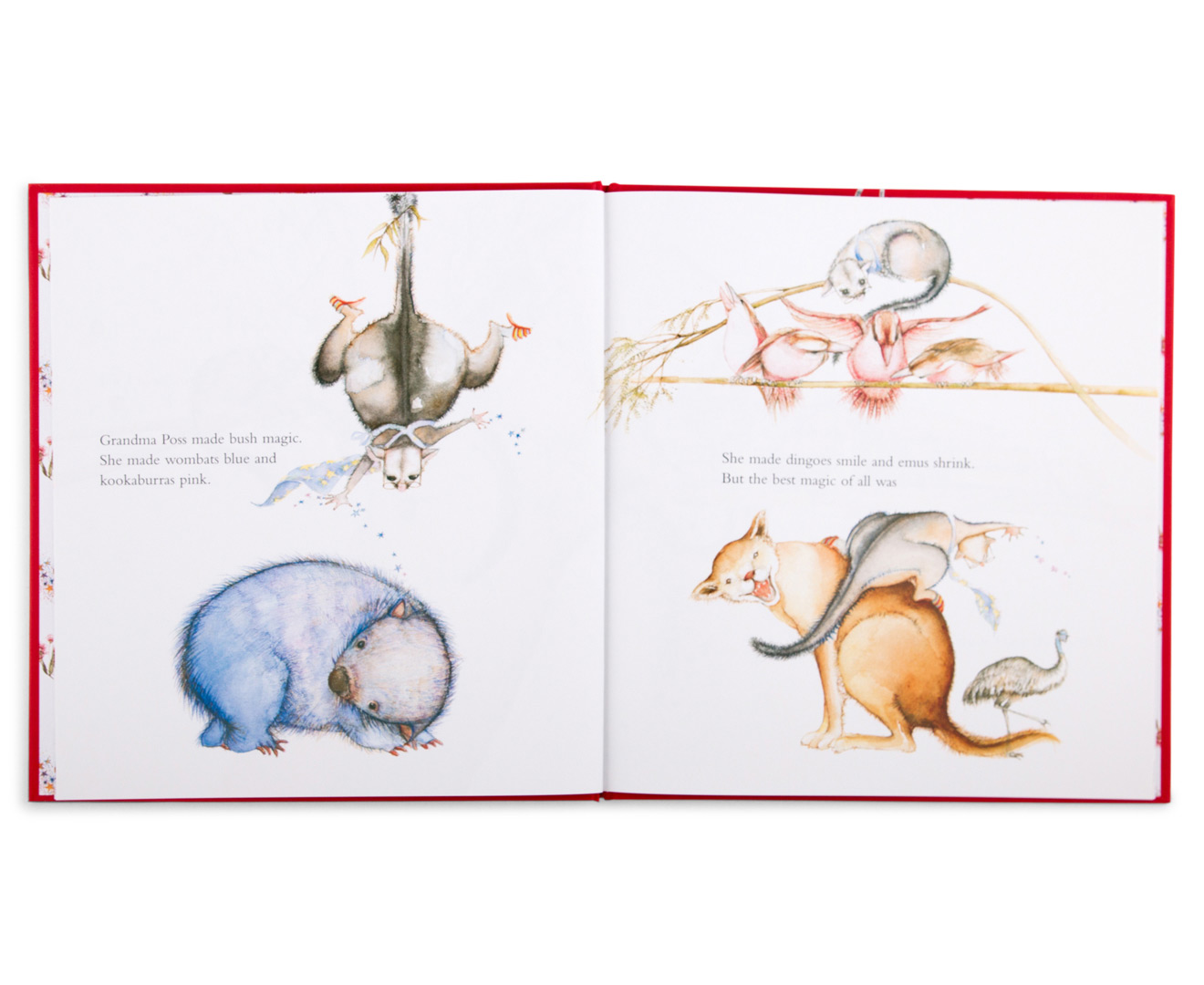 possum-magic-book-mumgo-au