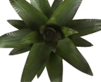 Large Metal Aloe Plant - Green