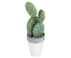 Cooper & Co. 29cm Artificial Cactus & Succulent Pot 3Pc Set