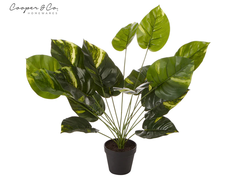 Cooper & Co. 45cm Dieffenbachia Artificial Potted Plant