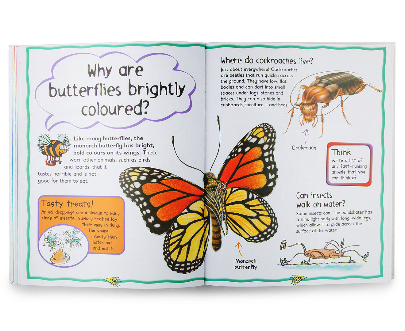 Why are butterflies brightly coloured?