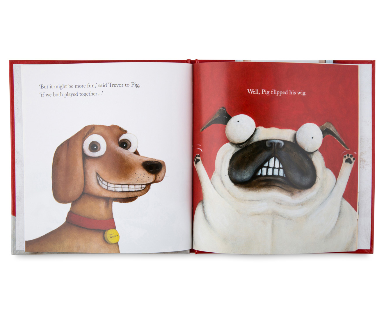 Pig the Pug Boxed Book Set w/ Plush Toy | Catch.co.nz