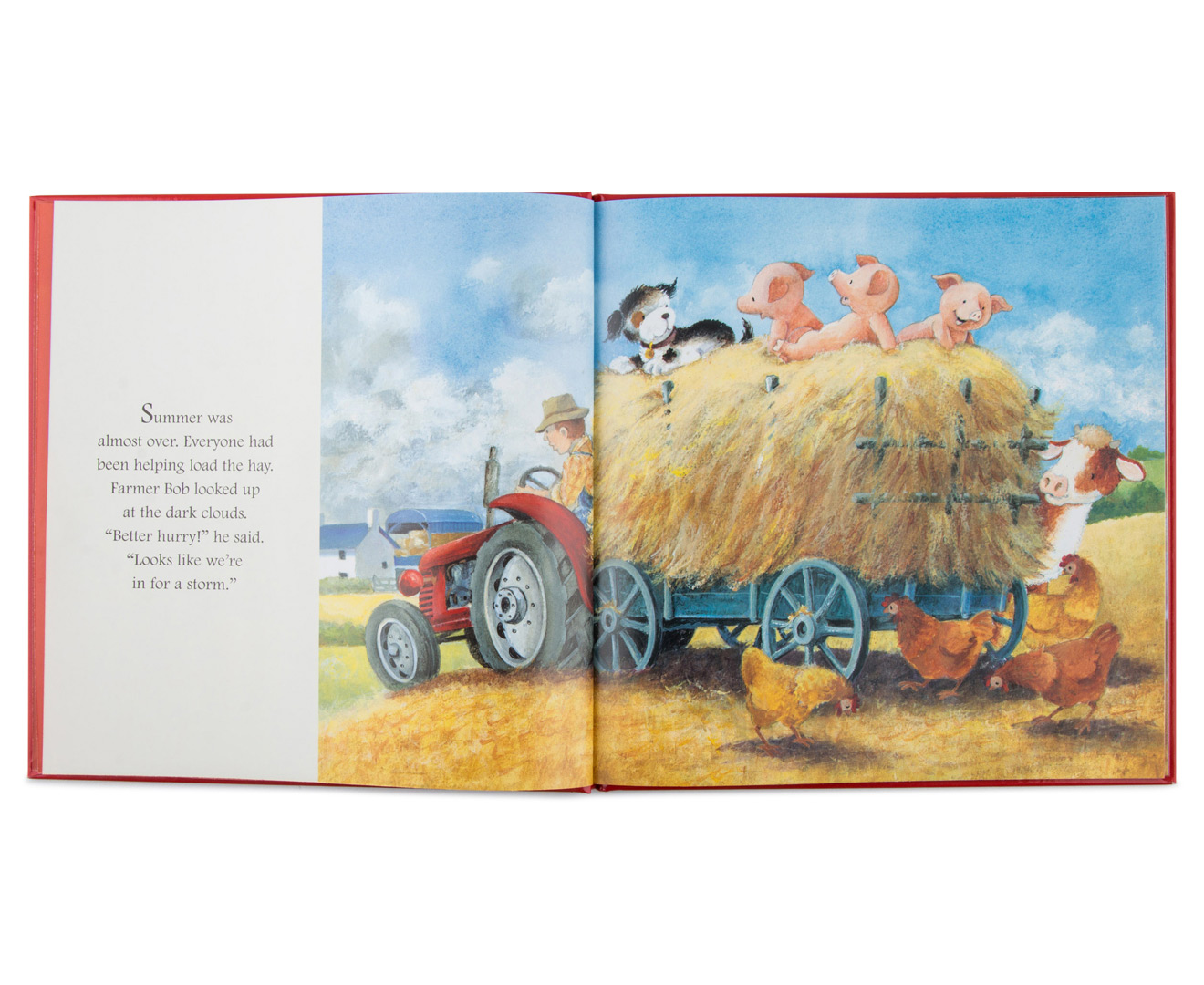 Fergus's Story Treasury Book Box Set | Mumgo.com.au