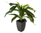 Willow & Silk 58cm Potted Janet Craig Dracaena Artificial Plant