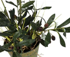 Artificial 92cm Potted Olive Tree - Green