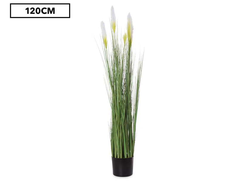 Artificial 120cm Potted Feather Reed Plant - Green/White