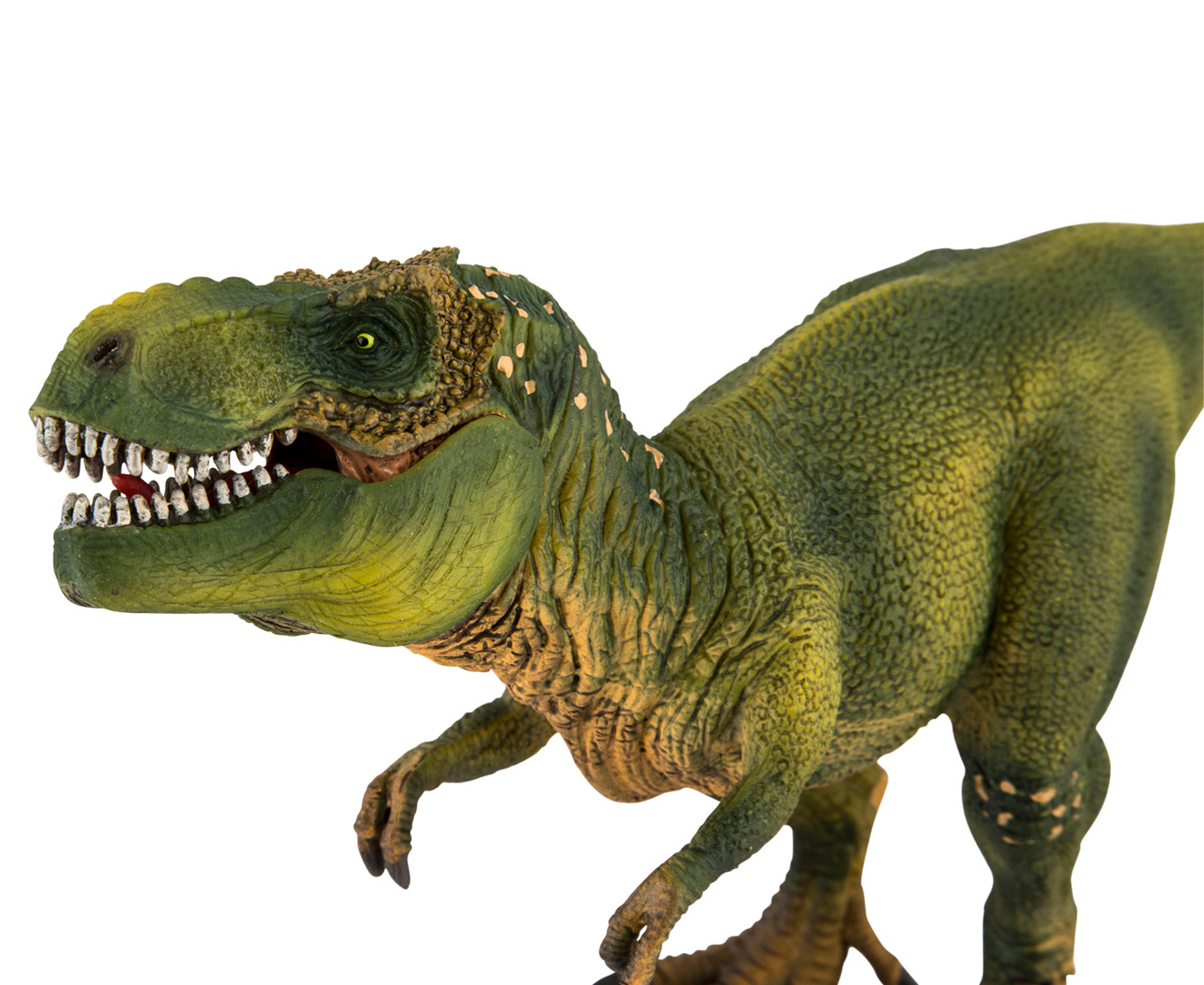 Schleich Tyrannosaurus Rex Figurine | GroceryRun.com.au