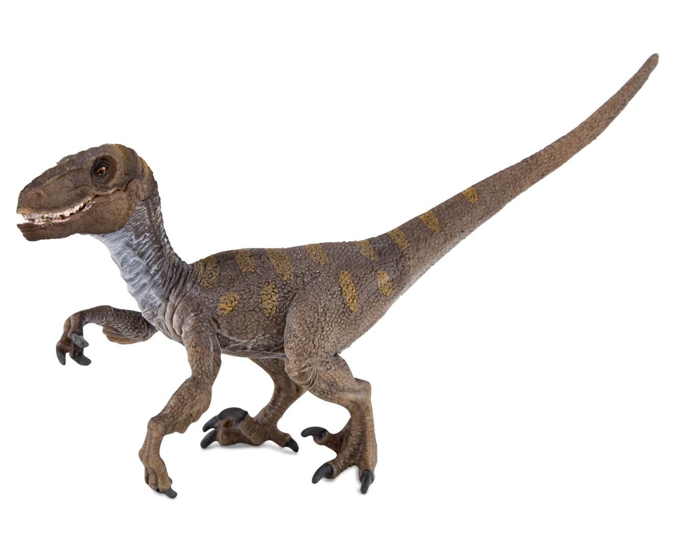 Schleich Velociraptor On The Hunt Playset | GroceryRun.com.au