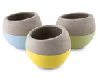 Set of 3 Assorted Concrete Round Pot Planters - Pastel