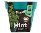 2 x Mr. Fothergill's Boutique Garden Bio Pot Mint Grow Kit