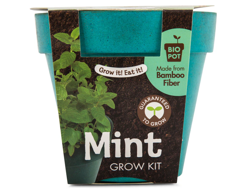 2 x Mr. Fothergill's Boutique Garden Bio Pot Mint Grow Kit