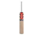 Gray Nicolls XP70 Power Cricket Bat