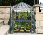 Greenlife Mini Greenhouse - Clear/Green