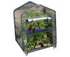 Greenlife Mini Greenhouse - Clear/Green