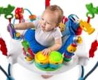 Baby Einstein Neighborhood Symphony Baby Activity Jumper Bouncer 4