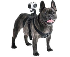 Paws N Claws Action Camera Harness - Black