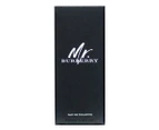 Burberry Mr. Burberry EDT Perfume 150mL