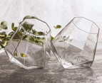 Diamond Glass Tumbler Set Of 2