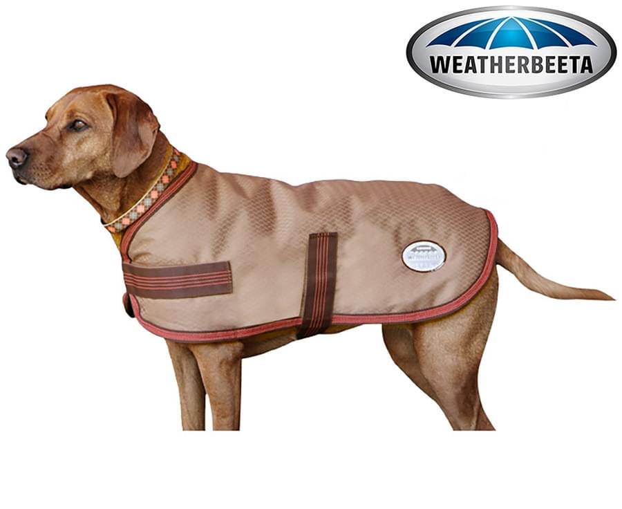 purina petlife dog coat