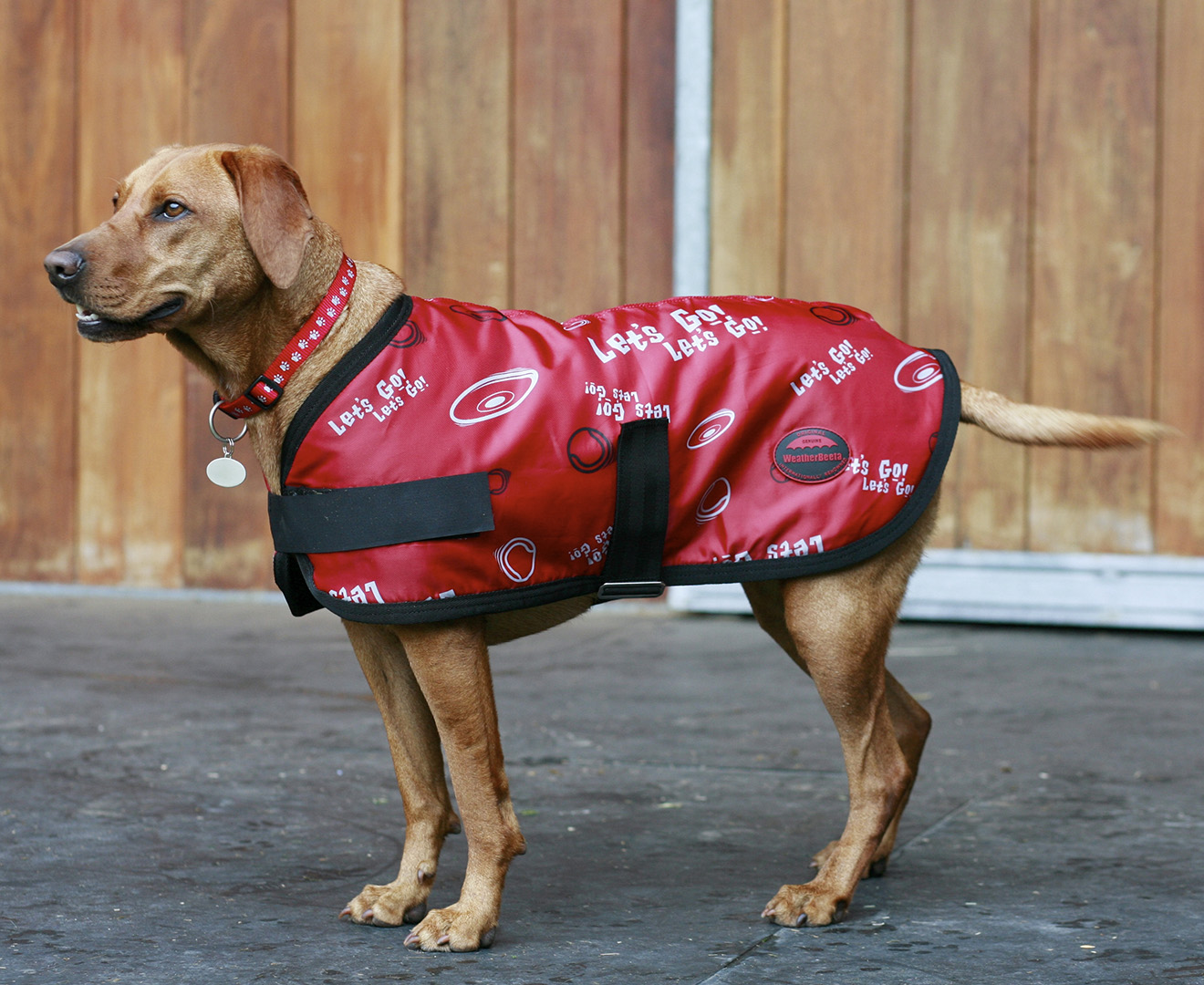 weatherbeeta-kennel-dog-coat-red-frisbee-print-great-daily-deals-at