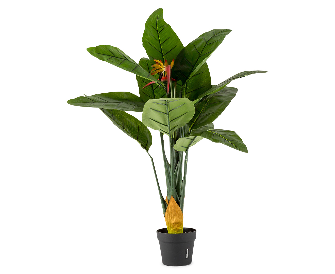 Botanica Artificial 85cm Botanical Bird Paradise Plant - Green | Catch