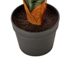 Cooper & Co. 85cm Bird Of Paradise Artificial Potted Plant